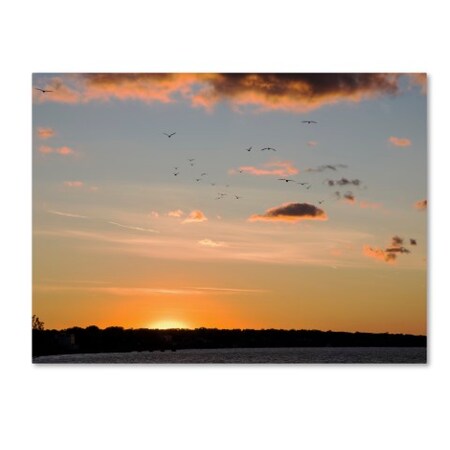 Trademark Fine Art Kurt Shaffer 'Seagull Sunset' Canvas Art, 35x47 KS01140-C3547GG